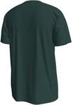 Nike Nigeria T-Shirt f&uuml;r Herren, gr&uuml;n IH2191-397