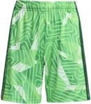Adidas Tiro26 Competition Goalkeeper Shorts Torwarthose f&uuml;r Kinder, gr&uuml;n KC5467