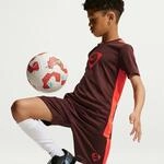 Nike Dri-Fit Academy + GX HBR Shorts f&uuml;r Kinder, rot IO7320-658