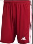 Adidas Performance adidas Squadra 21 Herren Shorts, rot, Gr. S 23055-gn5771
