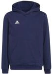 Adidas Entrada 22 Sweat Hoodie Kapuzensweater f&uuml;r Kinder, blau H57517