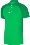 Nike Dri-Fit Academy Pro Trikot f&uuml;r Herren, gr&uuml;n DH9228-329