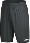 Jako Anderlecht 2.0 Shorts, grau 4403