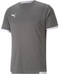 Puma TeamLIGA Trikot f&uuml;r Herren, grau 704917