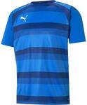 Puma TeamVISION T-Shirt f&uuml;r Herren, blau 704921