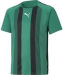Puma TeamLIGA Striped T-Shirt f&uuml;r Kinder, gr&uuml;n 704927