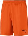 Puma teamGOAL 23 knit Herren Shorts, orange, Gr. M