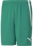 Puma TeamLIGA Shorts f&uuml;r Herren, gr&uuml;n 704924