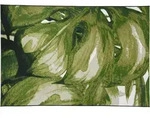 Tom Tailor Garden Palm 305 hell gr&uuml;n 70 x 120 cm