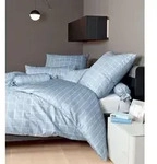 Janine Bettw&auml;sche modernclassic Mako-Satin 39025 perlblau 155x220 cm + 80x80 cm