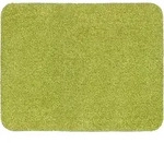 Astra Fu&szlig;matte Entra Saugstark gr&uuml;n 60x75cm