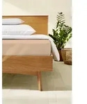 kaeppel Spannbetttuch Jersey Elasthan champignon 100x200 cm