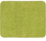 Astra Fu&szlig;matte Entra Saugstark gr&uuml;n 90x150