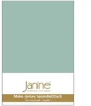 Janine Spannbetttuch Mako-Feinjersey 5007 rauchgr&uuml;n 200x200 cm