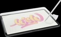 PL2A-11-24 - Displayschutzfolie 2.1 f&uuml;r iPad Pro 11'' (M4)