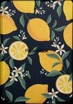 PB SH-634-LNP - E-Book-Reader, H&uuml;lle f&uuml;r Verse-Serie, Lemons