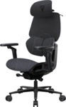 THX3 FLEX LO GR - ThunderX3 FLEX Pro - Loft, schwarz