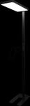 LUXULA LX700190 - LED B&uuml;ro-Stehleuchte, Up/Down, schwarz