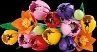 LEGO 11501 - LEGO&reg; Botanicals - Tulpenstrau&szlig;