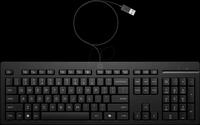 HP AY2Y7AA - Tastatur, USB, schwarz, QWERTZ