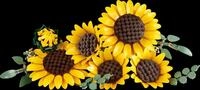 LEGO 11502 - LEGO&reg; Botanicals - Sonnenblumen