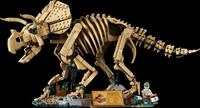 LEGO 77985 - LEGO&reg; Jurassic World - Dinosaurier-Fossilien: Triceratop