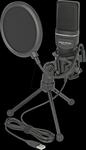 DELOCK 66331 - Kondensator Mikrofon mit Pop Filter, Tischst&auml;nder und Mikrofonsp