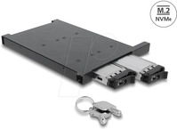 DELOCK 47138 - Wechselrahmen f&uuml;r 2 x M.2 NMVe SSD mit SFF-8654 Anschluss