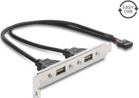 DELOCK 91800 - USB 2.0 Slotblech mit 2 x EASY USB Typ-A Port