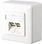 BTR 1307380002-I - E-DAT CAT.6 2 Port AP reinwei&szlig; RAL9010