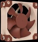 NO NF-A8 5V - NOCTUA NF-A8 5V Geh&auml;usel&uuml;fter, 80 mm