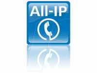 LANCOM ALLIP - Lancom All-IP Option - Lizenz ( Upgrade-Lizenz )