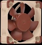 NO NF-A4X10 5V P - NOCTUA NF-A4x10 5V PWM Geh&auml;usel&uuml;fter, 40 mm