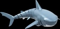 AMEWI 26087 - RC Hai, SHARKY, Motorboot, 4 Kanal, 2,4 GHz, RTR