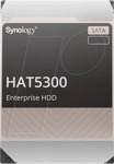 SYNOLOGY HAT-16T - NAS SAS, Festplatte, 16 TB