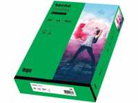 TECNO 88324417 - Papier intensivgrün DIN A4 80 g/qm 500 Blatt