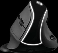 SANDBERG 630-13 - Maus (Mouse), Funk, ergonomisch, schwarz