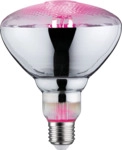 PLM 28737 - LED-Filament-Strahler Grow Green E27, 6,5 W, 200 lm, 1300 K PLM 28737 - LED-Filament-Strahler Grow Green E27, 6,5 W, 200 lm, 1300 K
