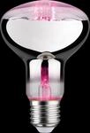 PLM 28733 - LED-Filament-Strahler Grow Green E27, 6,5 W, 200 lm, 1300 K