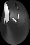 RAPOO EV250 SW - Maus (Mouse), Funk, vertikal, schwarz