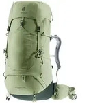 Deuter Aircontact Lite 45+10 SL Rucksack 45 L, grove-ivy