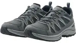LOWA Innox EVO II GTX Men, grau/grau 42,5 (8,5)