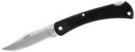 Buck 110 FOLDING HUNTER LT