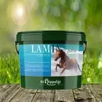 St. Hippolyt Lamin Forte 3 kg - Verbesserte Geweberegeneration und mehr...