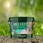 Wochenaktion - St. Hippolyt Mucolyt 10 kg - Freier Atem durch eine einzigartige
