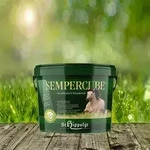 St. Hippolyt Semper Cube 10 kg - Der praktische, getreide- & glutenfreie