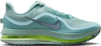 Nike Pegasus Premium Herren Schwarz/Grau