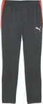Puma LIGA Trainings-Hose Grau/Orange Herren