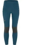 Damen-Leggings Fj&auml;llr&auml;ven Abisko Trekking Tights Pro W Gr&ouml;&szlig;e: L / blau/grau