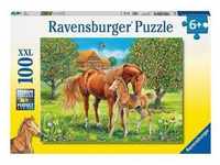 Puzzle Pferdeglück Auf Der Wiese 100-Teilig